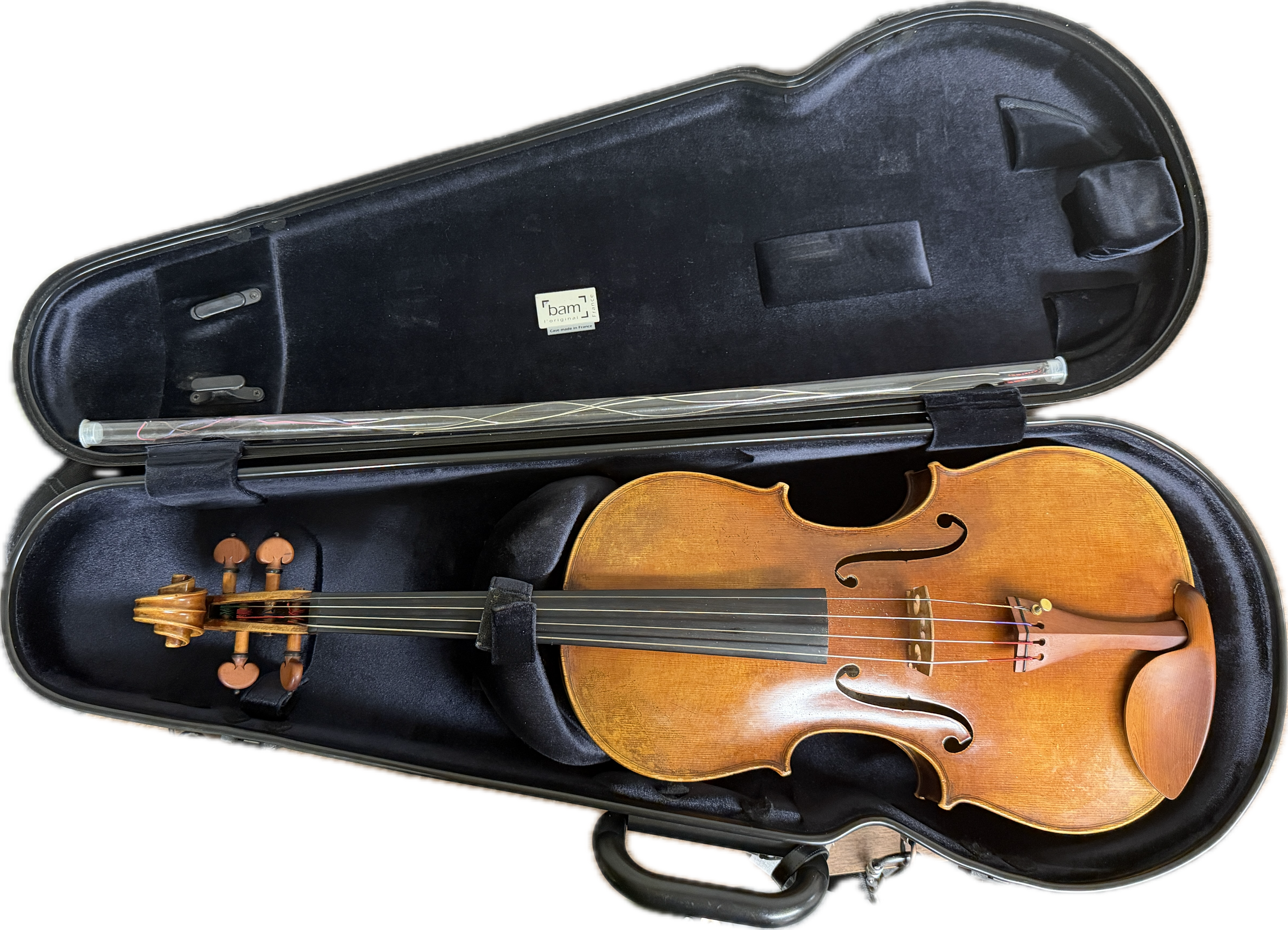Viola and case
